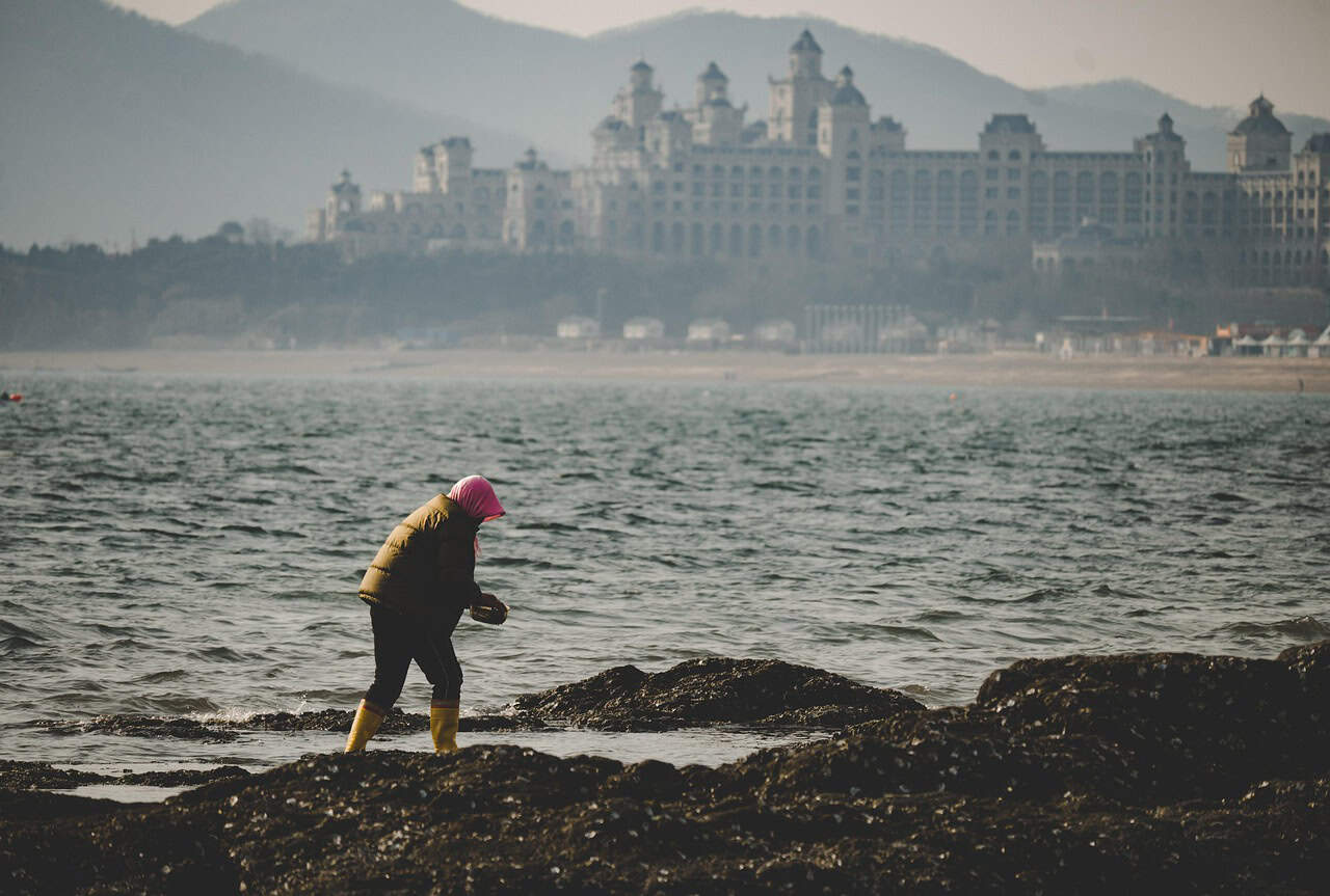 Woman collecting shells by the ocean with a castle in the background.