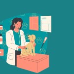 veterinary, doctor, professional, animal, pet, dog, care, visit, health, veterinary office, veterinary clinic