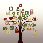 tree, structure, networks, internet, network, social, social network, logo, facebook, google, social networking, networking, nature, social media, tiktok, icon, website, presentation, multimedia