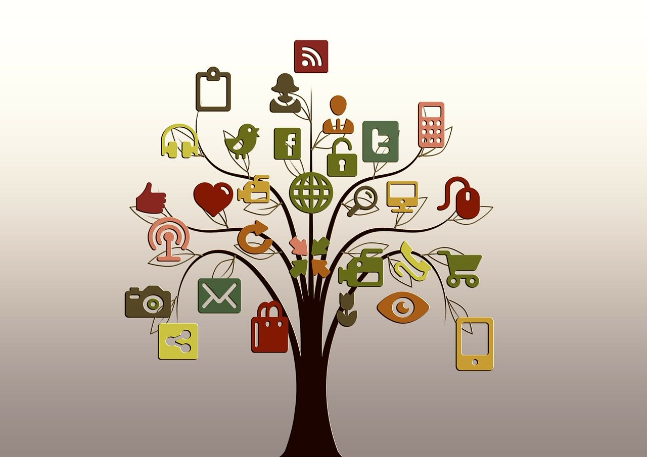 tree, structure, networks, internet, network, social, social network, logo, facebook, google, social networking, networking, nature, social media, tiktok, icon, website, presentation, multimedia